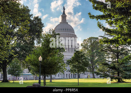 Das Kapitol in Washington, DC, Landschaft von Park Stockfoto