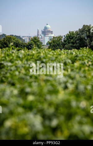 Skyline von Brüssel aus dem grünen Agglomeration Stockfoto