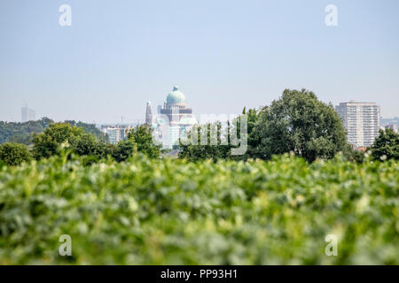 Skyline von Brüssel aus dem grünen Agglomeration Stockfoto