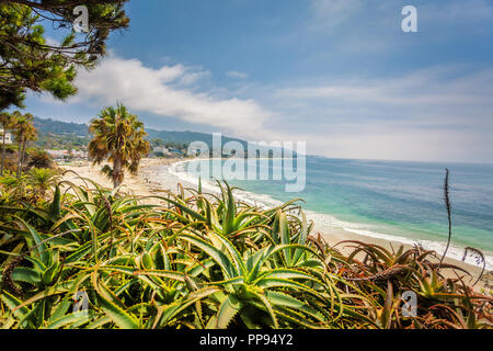 Laguna Beach Kalifornien, Ansicht von Heisler Park, auf einem zentralen Teil der Strand konzentrieren Stockfoto