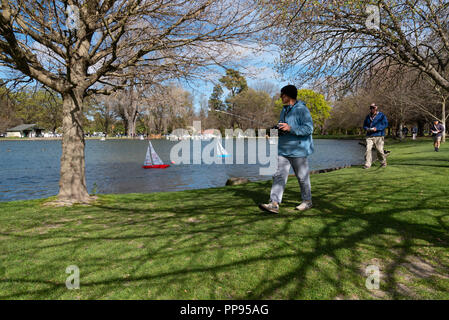 Modell Yacht segeln an der Victoria See, Hagley Park, Christchurch, Neuseeland. Stockfoto