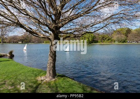 Modell Yacht segeln an der Victoria See, Hagley Park, Christchurch, Neuseeland. Stockfoto