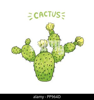 Mexikanischer Kaktus mit Stacheln oder Dornen und Blüten als isolierte Clipart für Cinco De Mayo Urlaub oder Feier. Genießbare Esculent wie Saguaro Kakteen, indische Abb. oder Mammillaria. Latin theme Stock Vektor