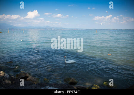 Schönen Gardasee in Italien, sonnigen Sommertag. 7. September 2018 Stockfoto