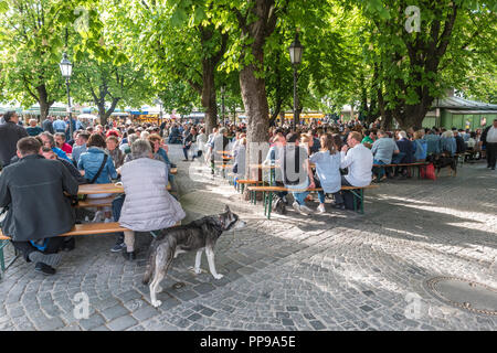 München, Deutschland - 13. MAI 2017: München Deutschland, Essen Halle Speise Markt (Viktualienmarkt) Stockfoto