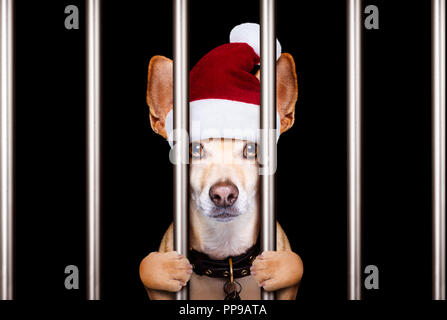 Mugshot eines weihnachten santa bösen Hund hinter Gittern in Gefängnis Stockfoto