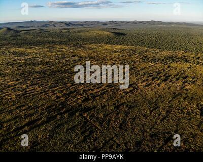 Luftaufnahme der grünen Landschaft in der Gemeinde Carbó, Sonora. 21. Sep 2018. Panorama.... Dawn, Amanecer. Vista aerea de Verde paisaje en el Muni Stockfoto