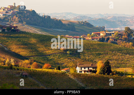 Ansicht der herbstlichen Weinberge auf den hils der Langhe in Abend in Piemont, Norditalien. Stockfoto