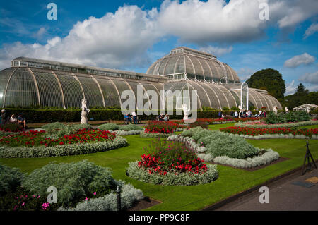 Das Palm House in den Royal Botanic Gardens, Kew Gardens London England Großbritannien Stockfoto