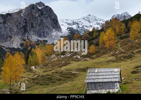 Bunte Bergwiese und Scheune unter nebligen Bergen Stockfoto