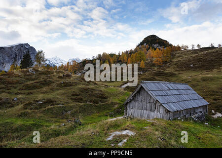 Bunte Bergwiese und Scheune unter nebligen Bergen Stockfoto