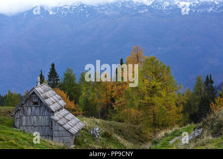Bunte Bergwiese und Scheune unter nebligen Bergen Stockfoto