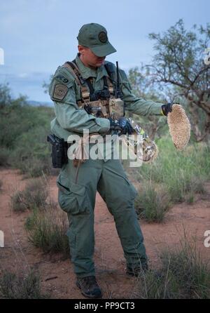 Ein Border Patrol-Agenten, ein Mitglied der Tucson's Sektor Mobile Response Team, zeigt ein paar Teppich Booties von zwei guatemaltekische Angehörige versuchen, Festnahme zu entziehen. Die zwei Männer im Alter von 19 und 23, waren auch in der Tarnung gekleidet, in einem Versuch die Erkennung zu vermeiden. Beide Männer hatten in der Vergangenheit aufgegriffen worden und stehen jetzt vor Strafverfolgung für illegale re-entry. Betrieb Guardian Unterstützung ermöglicht Soldaten der Nationalgarde an der Grenze patrouillieren Antenne zu unterstützen. Ob seine Überwachung mit UH-72Lakota Aircraft oder Transport Agenten in der UH-60 Blackhawk, Agenten sind jetzt haben Stockfoto