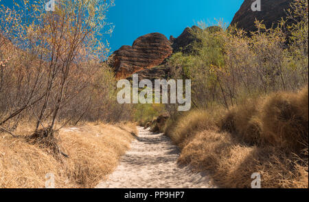 Purnululu, die Bungle Bungles, East Kimberley Region, Western Australia Stockfoto