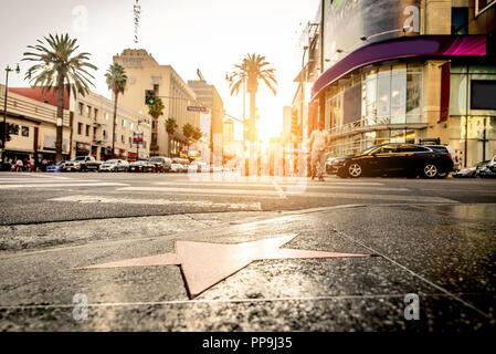 Walk of Fame bei Sonnenuntergang auf dem Hollywood Boulevard Stockfoto