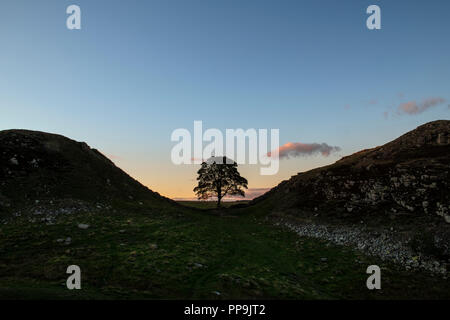 Bergahorn Lücke am Hadrianswall Stockfoto