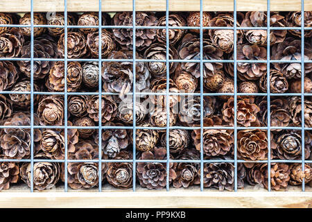 Close-up Teil des Handwerks Hotel oder Haus für Wilde Bienen und andere Insekten aus natürlichen umweltfreundlichen Materialien. Tierheim aus Kegel, Holz und Bambus, Heu, Stroh und Rinde Stockfoto