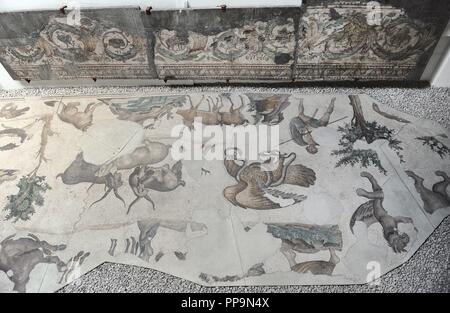 Großer Palast Mosaik-Museum. 4.-6. Jahrhunderte. Istanbul. Turkei. Stockfoto