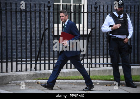 Verteidigungsminister Gavin Williamson kommt in Downing Street, London, für eine Sitzung. Stockfoto