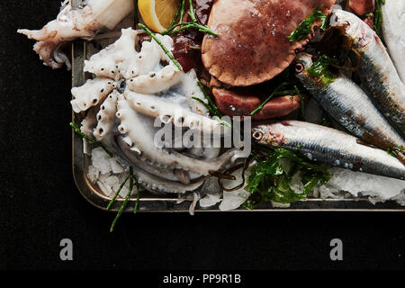 Eine Platte mit rohen, ungekochten frischen Meeresfrüchten wie Tintenfisch, Oktopus, Makrele, Sardinen, Austern mit Samphir und Zitronenkeil in einem Metalltablett mit schwarzem Rücken Stockfoto