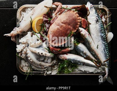 Eine Platte mit rohen, ungekochten frischen Meeresfrüchten wie Tintenfisch, Oktopus, Makrele, Sardinen, Austern mit Samphir und Zitronenkeil in einem Metalltablett mit schwarzem Rücken Stockfoto