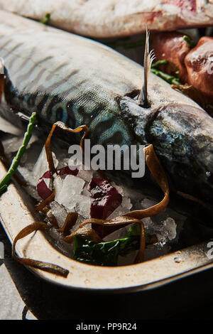 Eine Platte mit rohen, ungekochten frischen Meeresfrüchten wie Tintenfisch, Oktopus, Makrele, Sardinen, Austern mit Samphir und Zitronenkeil in einem Metalltablett mit schwarzem Rücken Stockfoto