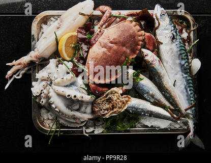 Eine Platte mit rohen, ungekochten frischen Meeresfrüchten wie Tintenfisch, Oktopus, Makrele, Sardinen, Austern mit Samphir und Zitronenkeil in einem Metalltablett mit schwarzem Rücken Stockfoto