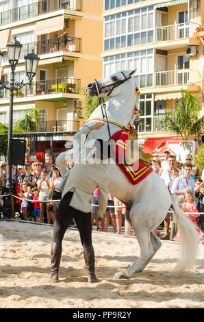 Pferd Dressur. Weißes Andalusisches Pferd, jährliche Veranstaltung, Tag der Pferde, Feier, Event, Fuengirola, Málaga, Andalusien, Spanien. Stockfoto