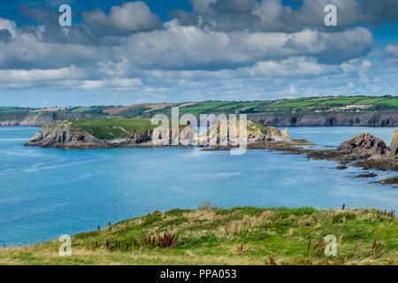 St Margaret's Island auf der Insel Caldey, Pembrokeshire, Wales Stockfoto