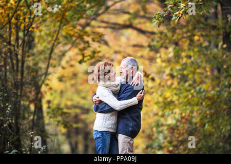 Ein Porträt von einem älteren Ehepaar in einem Herbst Natur. Kopieren Sie Platz. Stockfoto