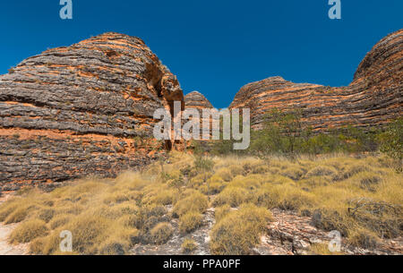 Purnululu, die Bungle Bungles, East Kimberley Region, Western Australia Stockfoto