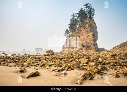 Quileute Nadeln sea Stacks, in zweiter Strand, Teil von La Push Strand, Pazifikküste, Olympic National Park, Washington State, USA Stockfoto