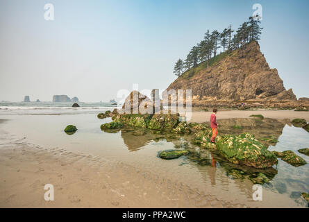 Junge Kletterfelsen in der Nähe von quileute Nadeln, in zweiter Strand, Teil von La Push Strand, Pazifikküste, Olympic National Park, Washington State, USA Stockfoto