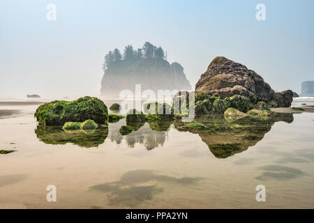 Quileute Nadeln, sea Stacks, in zweiter Strand, Teil von La Push Strand, Pazifikküste, Olympic National Park, Washington State, USA Stockfoto