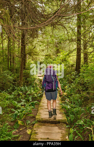 Mittleres Alter Frau wandern, Cape Alava Trail, gemäßigten Regenwald, in der Nähe von Cape Alava, Pazifikküste, Olympic National Park, Washington State, USA Stockfoto