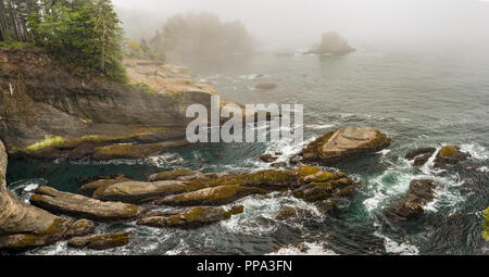 Dramatische Felsen am Cape Flattery bei Nebel, Makah Indianer Reservation, Olympic Peninsula, Washington State, USA Stockfoto
