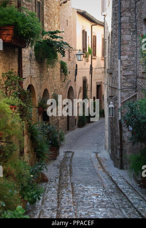 Pflanzen entlang der engen Straße in einem wunderschönen umbrischen Stadt Spello in Italien Stockfoto