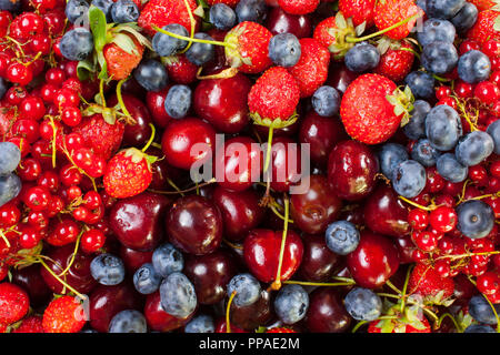 Beeren (Erdbeeren, Blaubeeren, Kirschen, Johannisbeeren) auf einem weißen Teller. Hintergrund Hintergrund oder Textur mit kopieren. Stockfoto