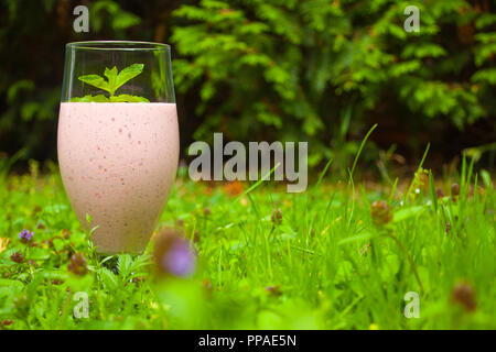 Berry (rosa) köstliche Smoothies in einem Glas steht auf dem Gras auf einem grünen Hintergrund. Die Minze liegt oben auf dem Smoothie. Stockfoto