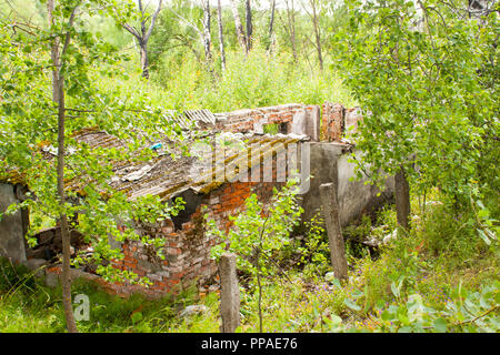 Alte ruiniert Backsteingebäude im Wald Stockfoto