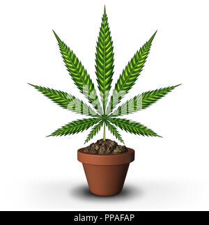 Cannabis und Marihuana Gartenbau oder Unkraut Anbau und rechtlichen Topf Landwirtschaft Konzept wie ein Blatt in einem Blumentopf als Symbol für Marihuana p Stockfoto