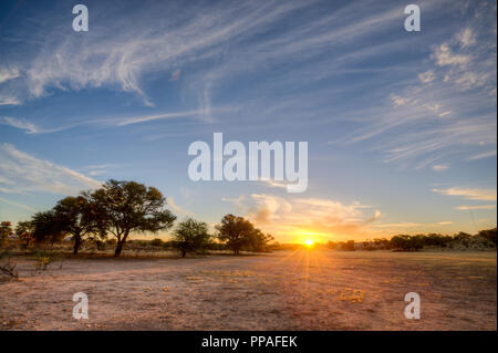 Tiefe Farben wie die Sonne über einem trockenen Flussbett in der kgalagadi zwischen Südafrika und Namibia Stockfoto