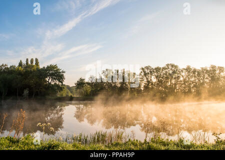 Misty Fluss in der Dämmerung in der nottinghamshire Landschaft. Landschaft im Nebel im Mai auf dem Fluss Trent, Colwick Country Park, Nottingham, England, Großbritannien Stockfoto