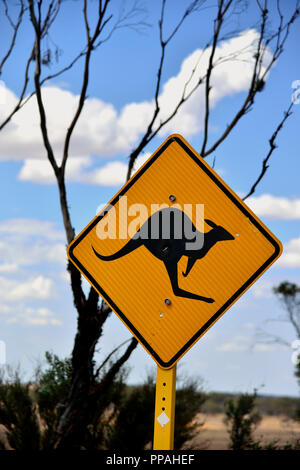Gelbes australisches Känguru-Straßenschild South Western Australia Stockfoto