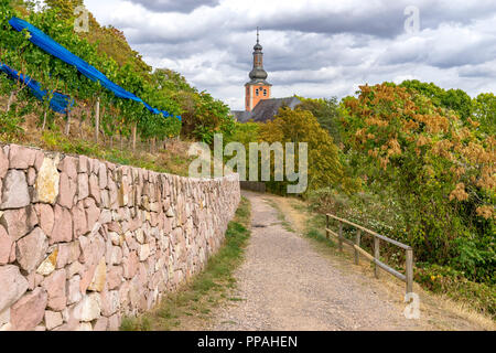 Wanderweg "Panoramaweg" mit Blick auf die Pauluskirche in Bad Kreuznach, Rheinland-Pfalz, Deutschland. Stockfoto