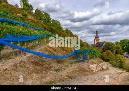Wanderweg "Panoramaweg" mit Blick auf die Pauluskirche in Bad Kreuznach, Rheinland-Pfalz, Deutschland. Stockfoto