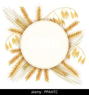 Weizen, Gerste, Hafer und Roggen. 3d Symbol Vektor einrichten. Vier Getreide Körner und Ohren. Runde Etiketten, text Farm Fresh 100 Prozent natürlichen. Samen und Pflanzen. Können Stock Vektor