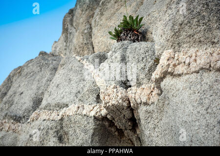 Klippen in der Nähe von Kalamitsi Beach, Sithonia Chalkidiki Griechenland Stockfoto