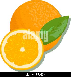 Citrus Produkte - Orange, Zitrone, Limone, Bergamotte, Mandarine, Grapefruit mit Blättern. Vektor einrichten von ganzen Früchten und Schichten. für Design, Poster, tag, Pr Stock Vektor