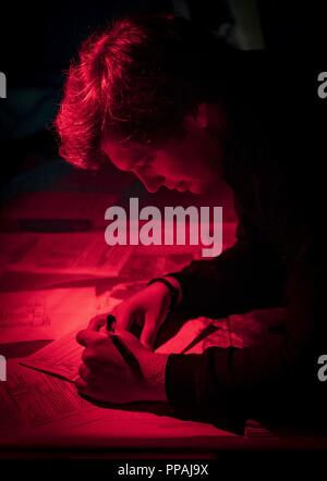 Meer (Aug. 22, 2018) öffentlichen Dienst mariner Zweite Mate Chris Scott, Navigator und Operations Officer an Bord der Speerspitze-Klasse expeditionary schnellen Transport ship USNS Carson City (T-EPF 7), bereitet eine Navigation kurz vor dem Ziehen in Poti, Georgien, 22.08.2018. Carson City ist die siebte von neun Expeditionary schnellen Transport von Schiffen im Bestand Military Sealift Command mit einem primären Mission des Zur schnellen Transport von militärischem Gerät und Personal in Theater über seine 20.000-Quadratfuß-Rekonfigurierbaren Mission Bay Area und Platz für 312 Passagiere. Stockfoto